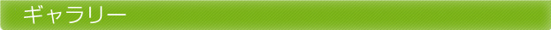 ギャラリー